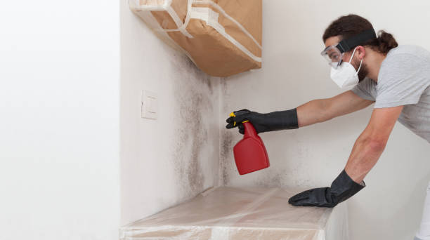 Professional Crawl Space Mold Removal technician working in Bear Creek, NC